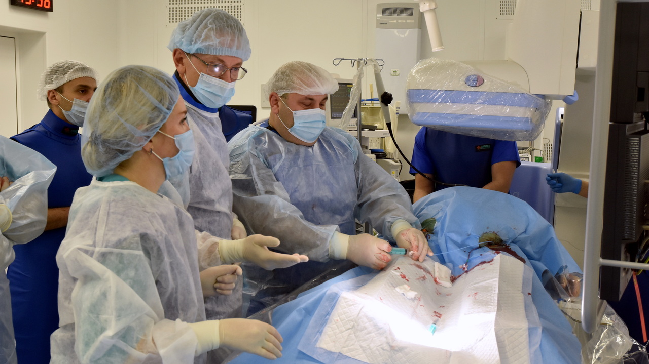 В Крыму впервые проведена транскатетерная имплантация аортального клапана